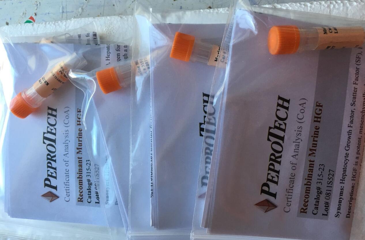 Human TGF-beta1-Produced in CHO/100-21C-10/PeproTech细胞因子